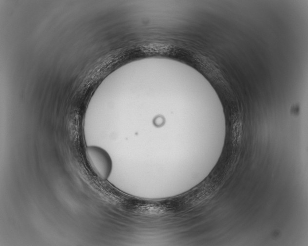 X0000116150498200912141200