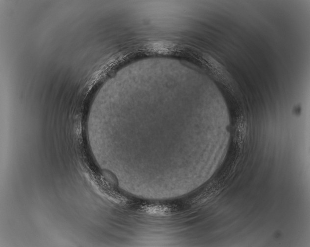 X0000116150500200912141200