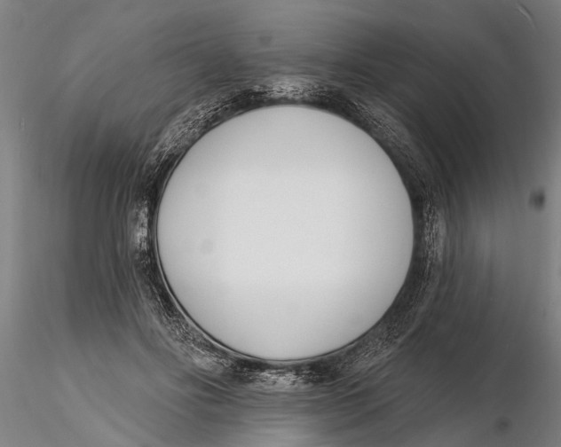 X0000116150502200912141200