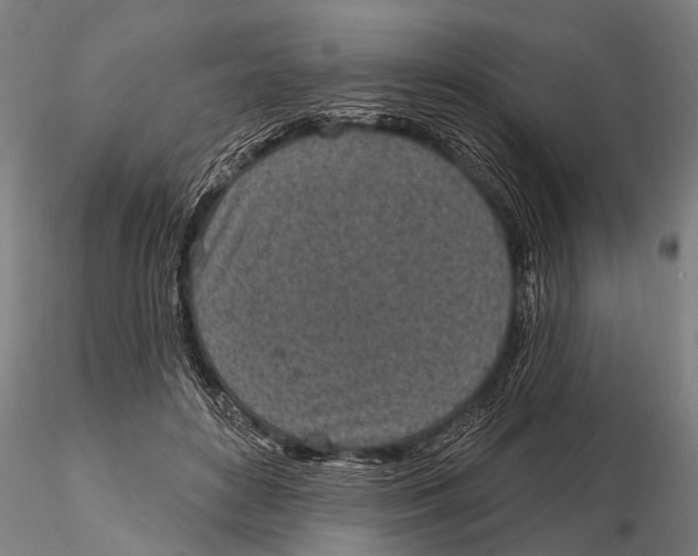 X0000116150504200912141200