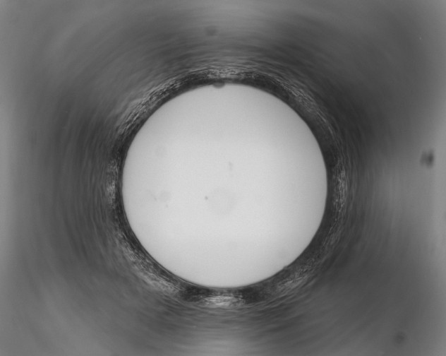 X0000116150505200912141200