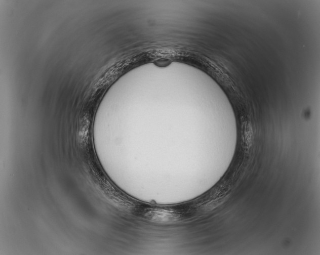 X0000116150507200912141200