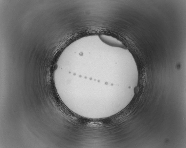 X0000116150508200912141200