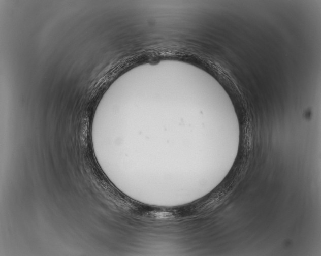 X0000116150509200912141200