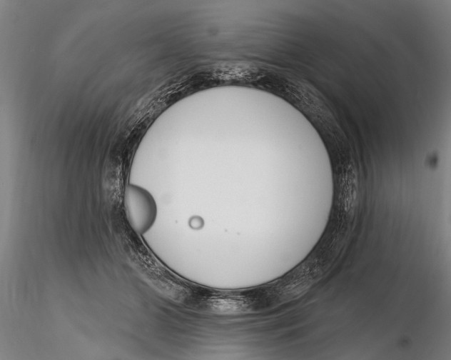 X0000116150510200912141200