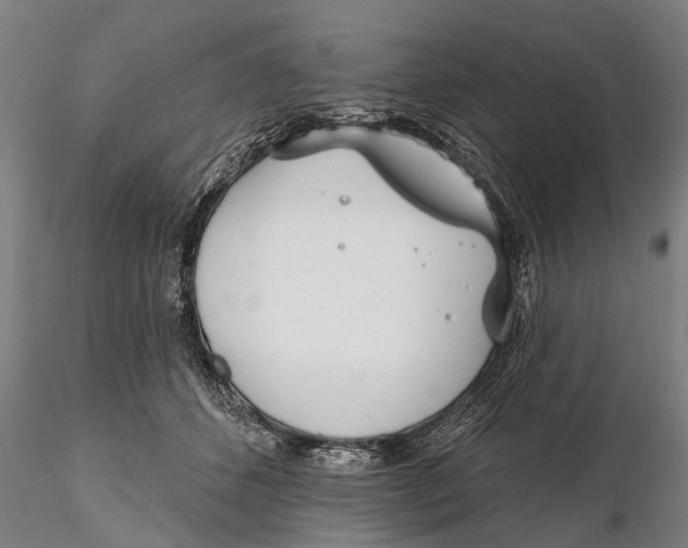 X0000116150512200912141200