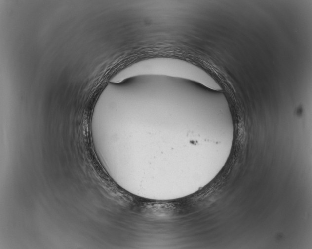 X0000116150517200912141200