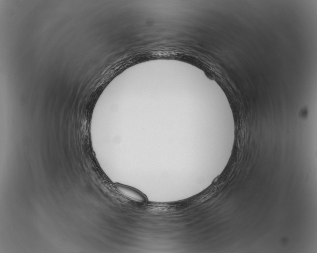 X0000116150521200912141200