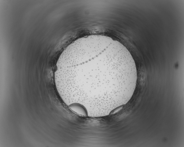 X0000116150523200912141200