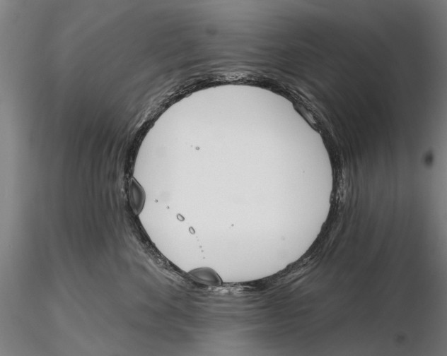 X0000116150524200912141200