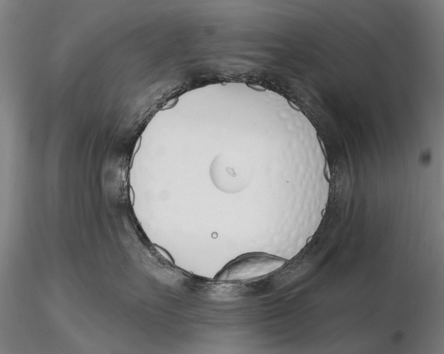 X0000116150527200912141200