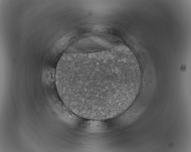 X0000116150528200912141200