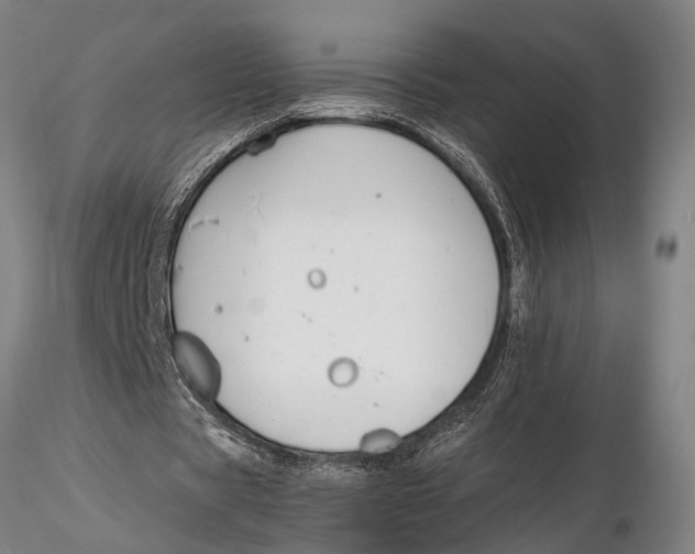 X0000116150529200912141159