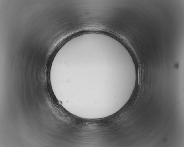 X0000116150531200912141159