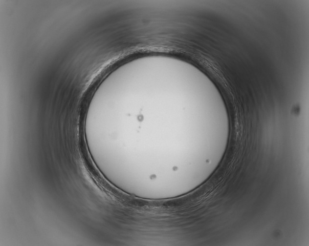 X0000116150534200912141159