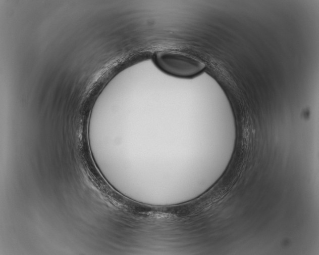 X0000116150539200912141159