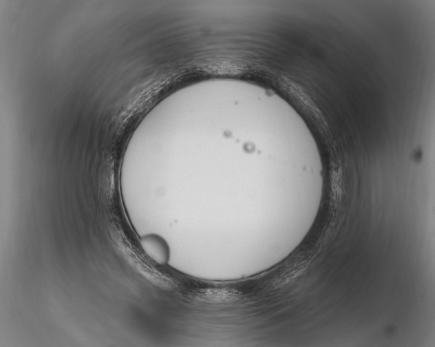 X0000116150541200912141159