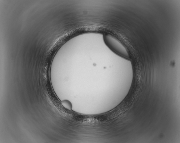 X0000116150543200912141159