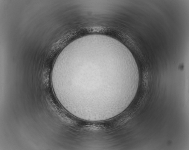 X0000116150545200912141159