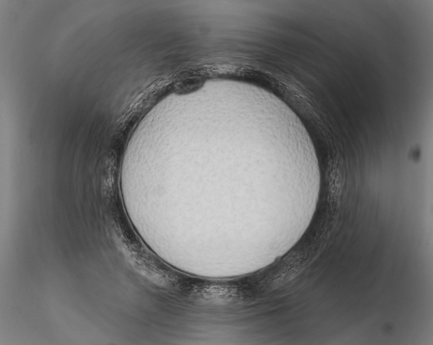 X0000116150546200912141159