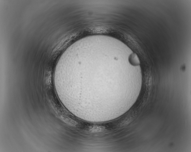 X0000116150549200912141159