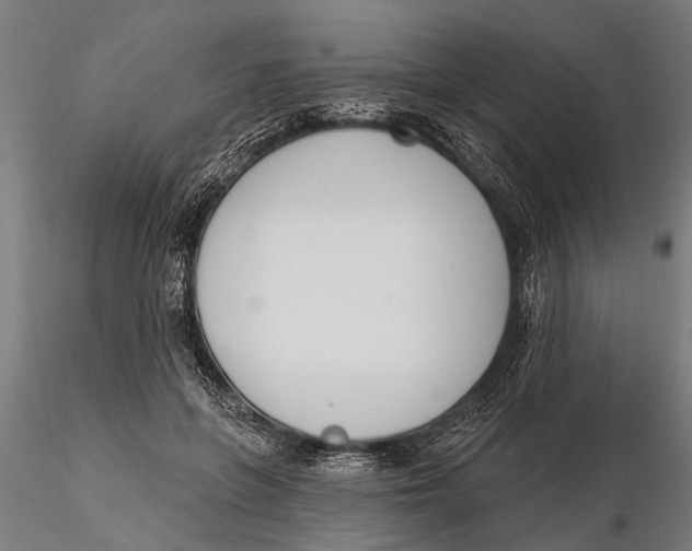 X0000116150551200912141159