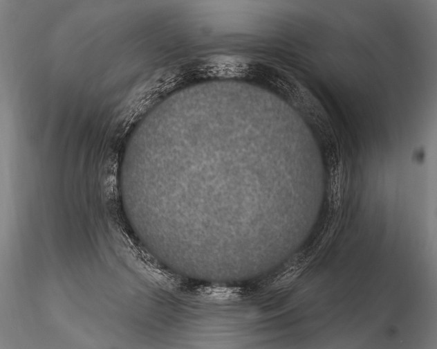 X0000116150553200912141159