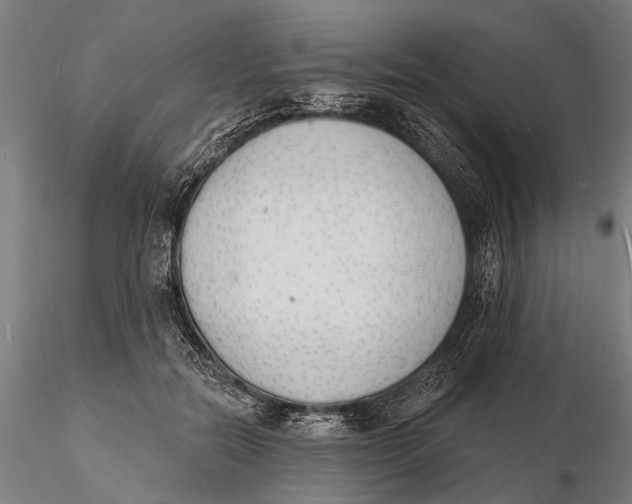 X0000116150554200912141159