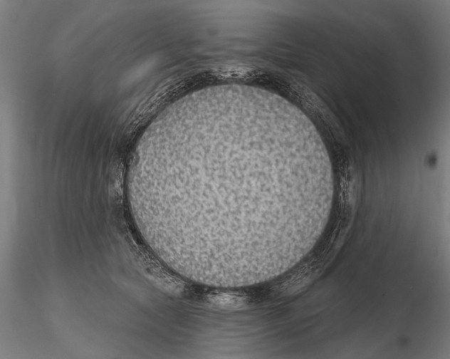 X0000116150561200912141200