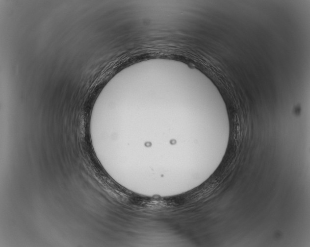 X0000116150562200912141200