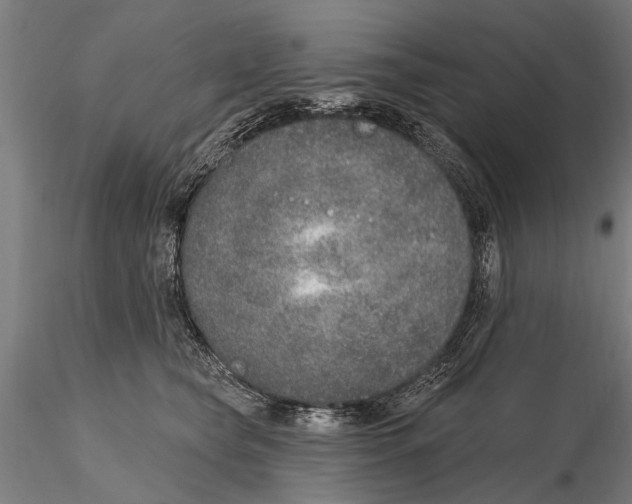 X0000116150565200912141200