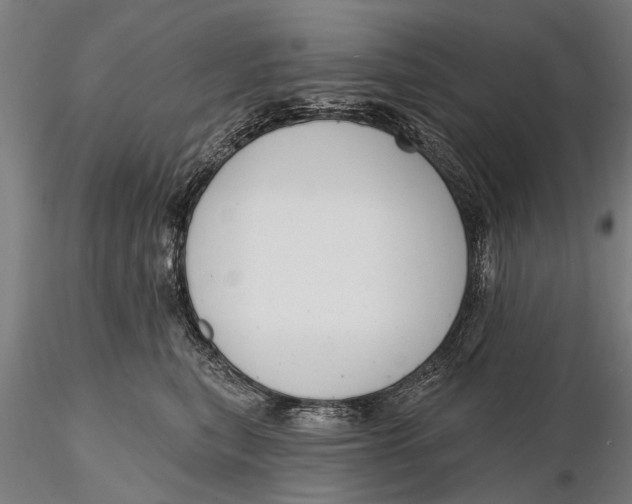 X0000116150567200912141200