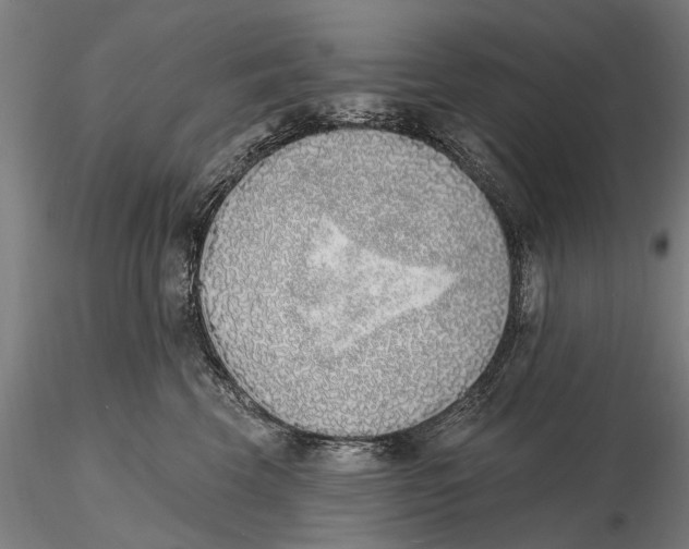 X0000116150569200912141200