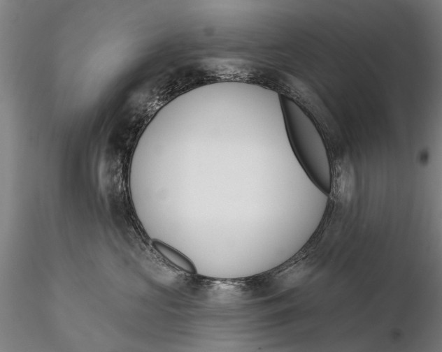 X0000116150573200912141200