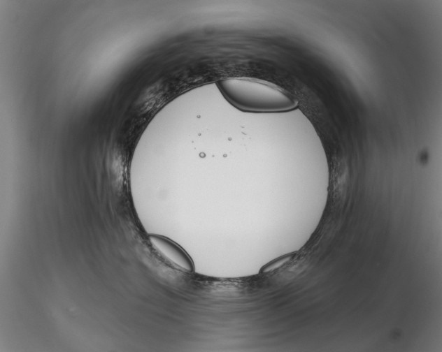 X0000116150574200912141200