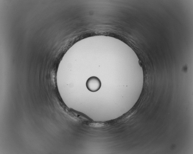 X0000116150575200912141200