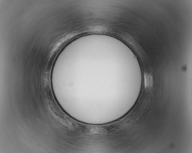 X0000116150579200912141159