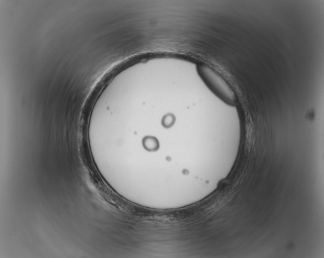 X0000116150580200912141159