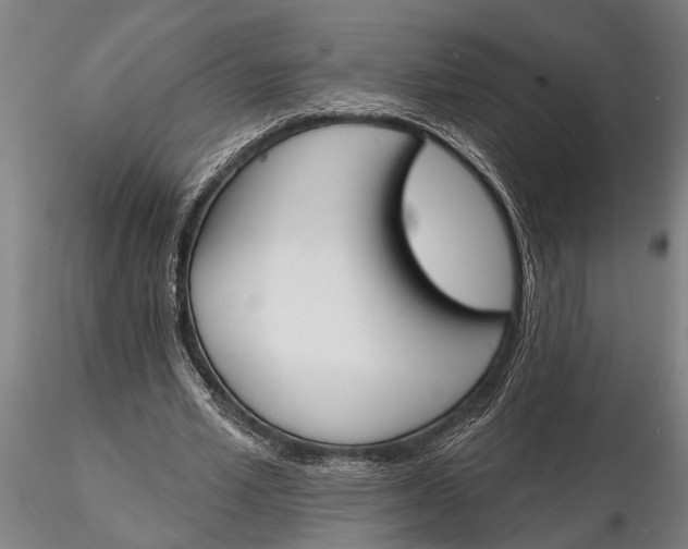 X0000116150581200912141159