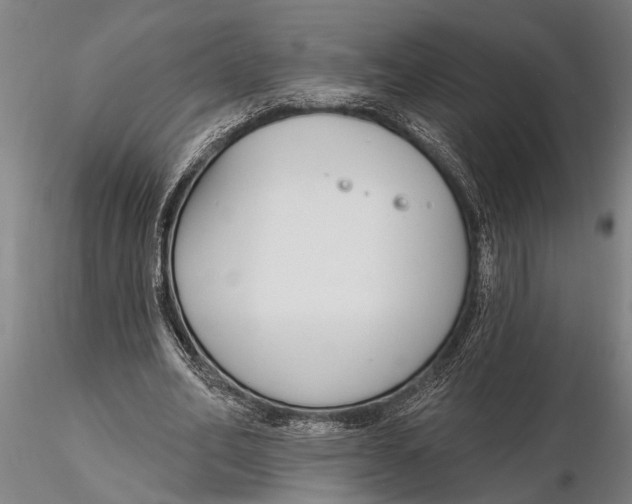 X0000116150582200912141159