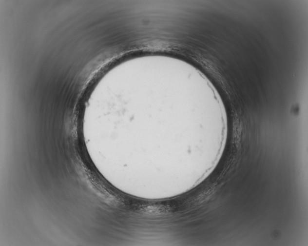 X0000116150584200912141159