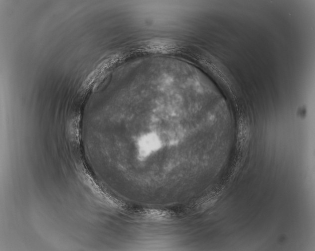 X0000116150585200912141159