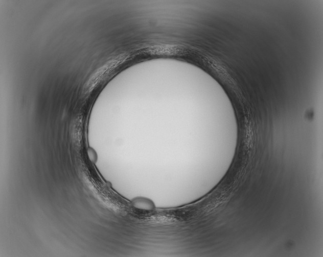 X0000116150586200912141159