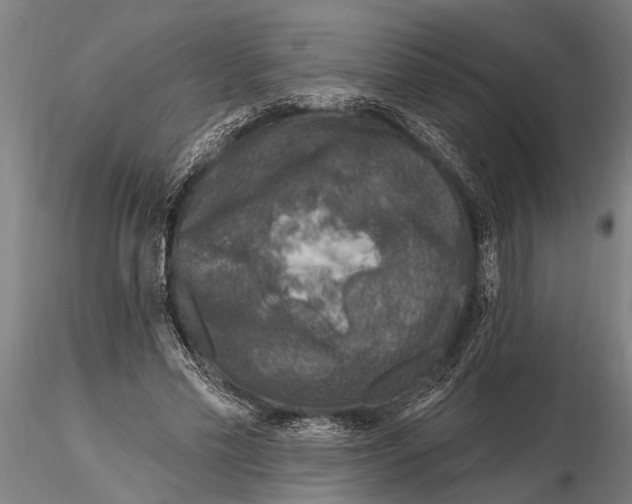 X0000116150589200912141159