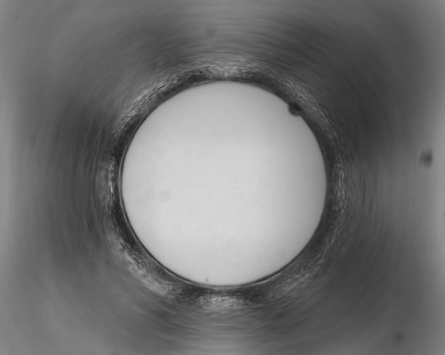 X0000116150590200912141159