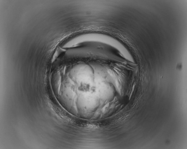 X0000116150592200912141159