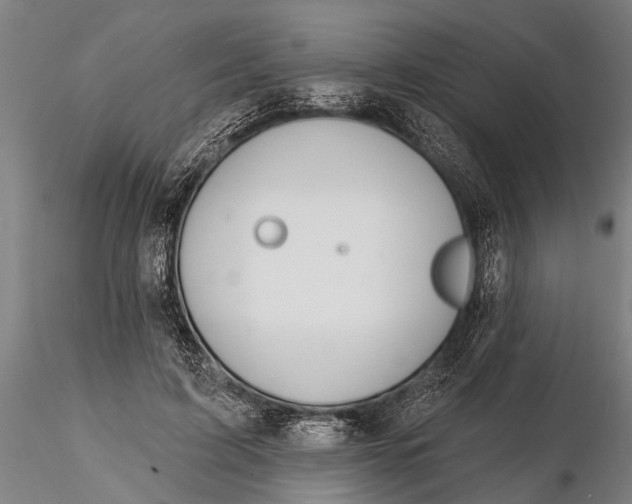 X0000116150595200912141159