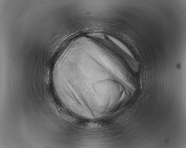 X0000116150596200912141159