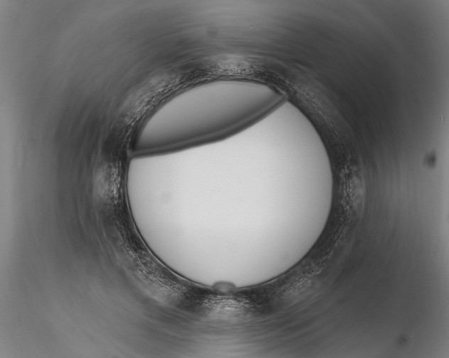 X0000116150597200912141159