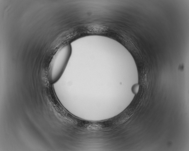 X0000116150599200912141159